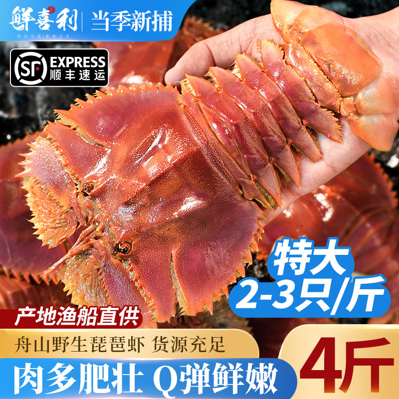 舟山琵琶虾新鲜九齿扇虾海鲜虾姑特大濑尿虾生鲜水产鲜活冷冻爬虾