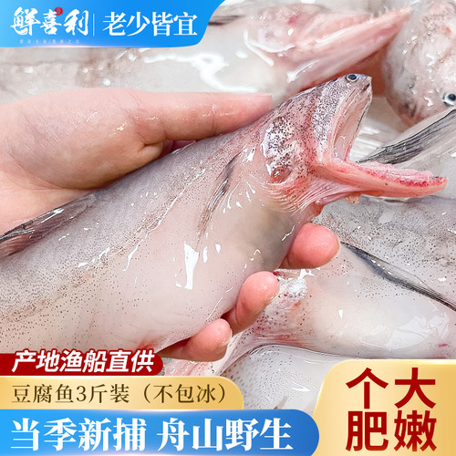 【大号3斤新捕船供】舟山豆腐鱼