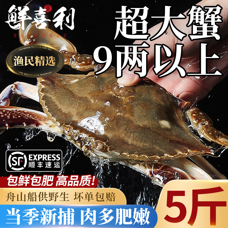 梭子蟹特大野生舟山大螃蟹新鲜冷冻蟹海鲜水产飞蟹白蟹肉公蟹顺丰