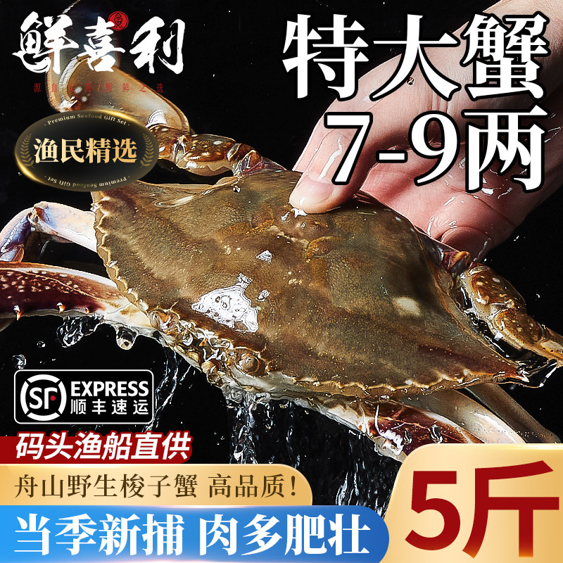 梭子蟹特大野生舟山大螃蟹新鲜冷冻蟹海鲜水产飞蟹白蟹肉公蟹顺丰
