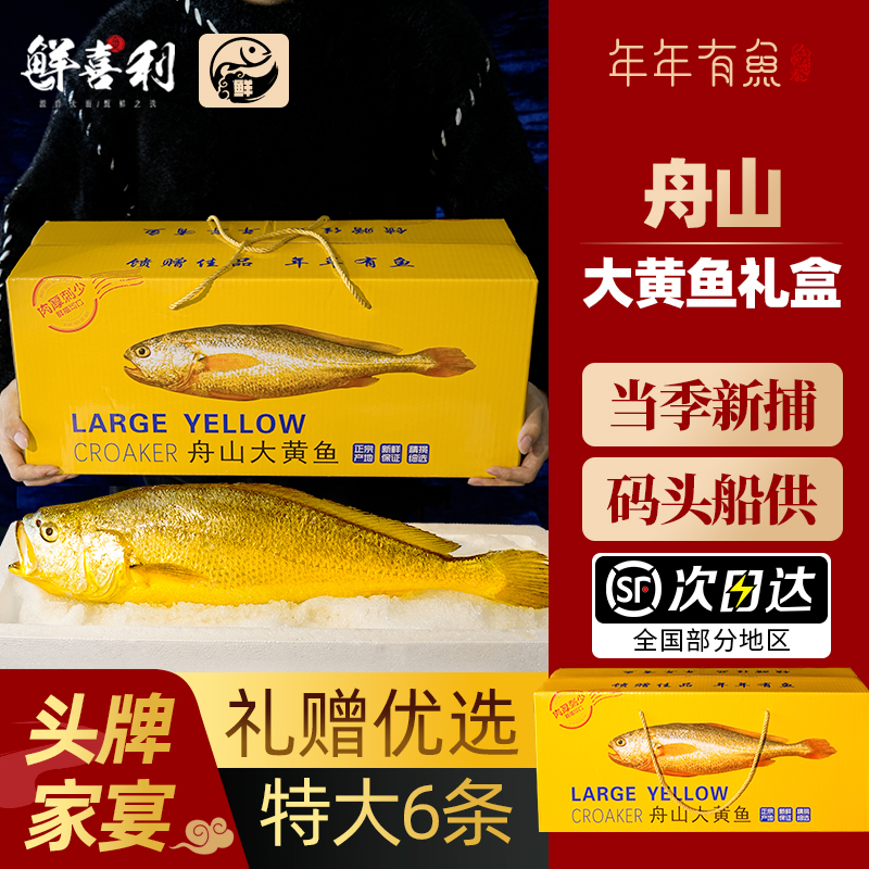 【6条新捕船供】舟山大黄鱼礼盒
