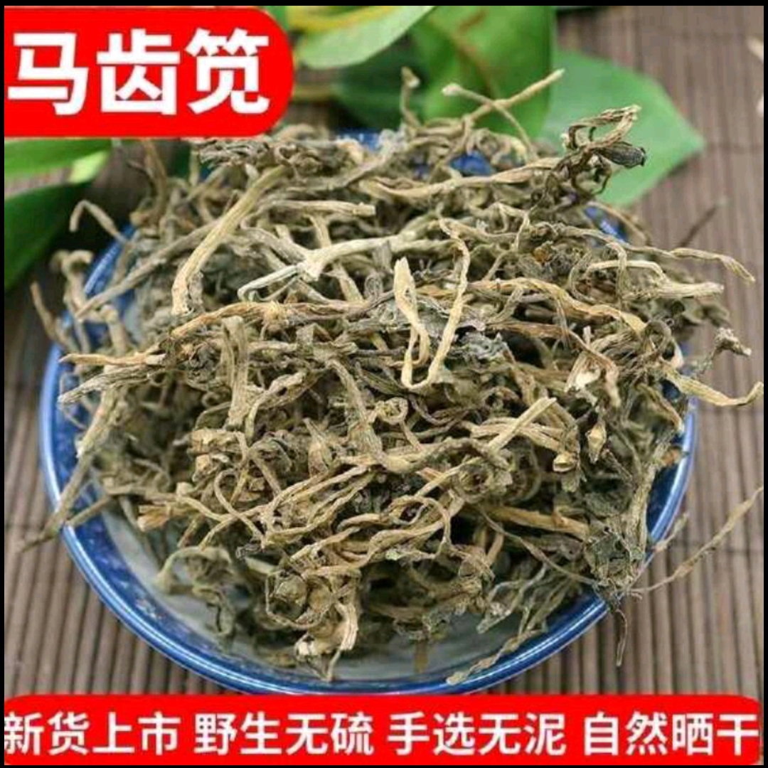 野生新鲜野菜马齿苋长命菜马蜂菜太阳花菜农家土特产脱水蔬菜干品