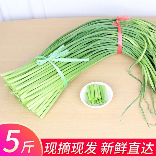 新鲜蒜苔台薹毫大蒜苗应季耐储藏绿色蔬菜青土特色农产品产地直销