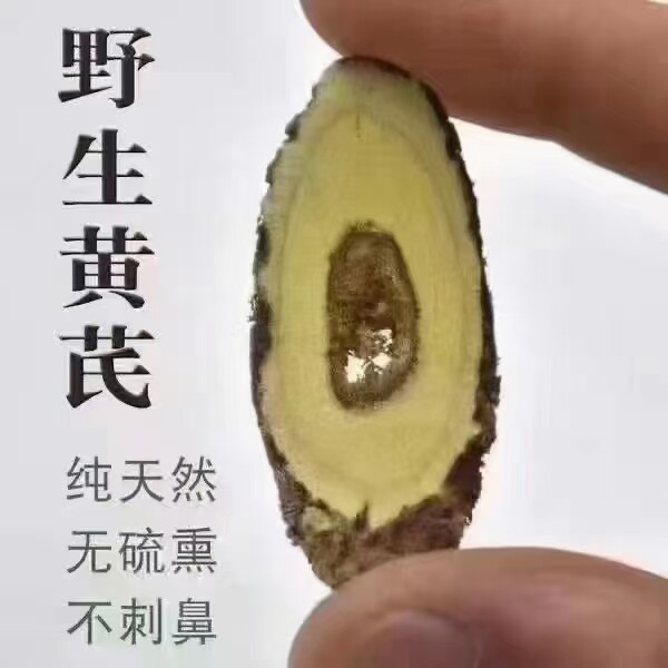 野生黄芪升阳滋补益行气治血虚不足血压低托毒除脓中药食同源食品