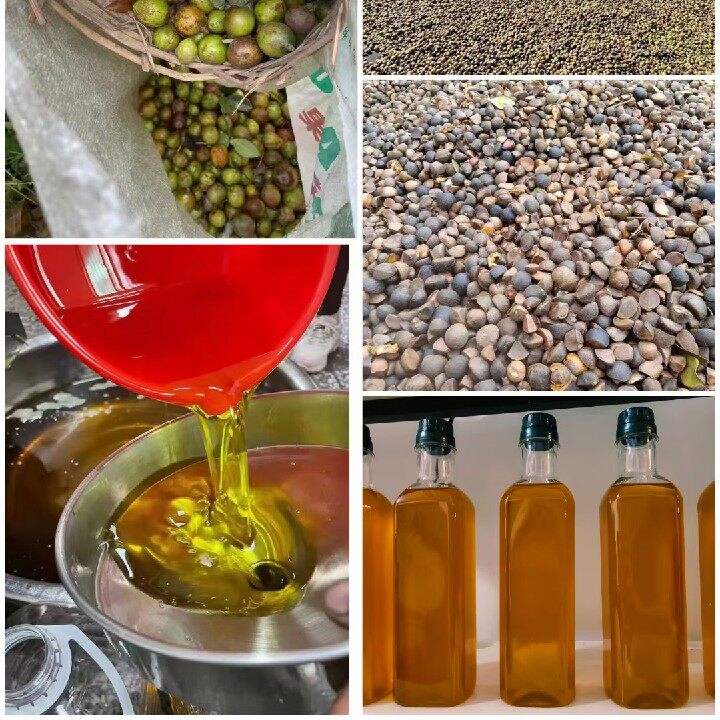 野生高山纯山茶籽油婴儿护肤油孕妇月子油菜籽油佛灯供佛食用素油