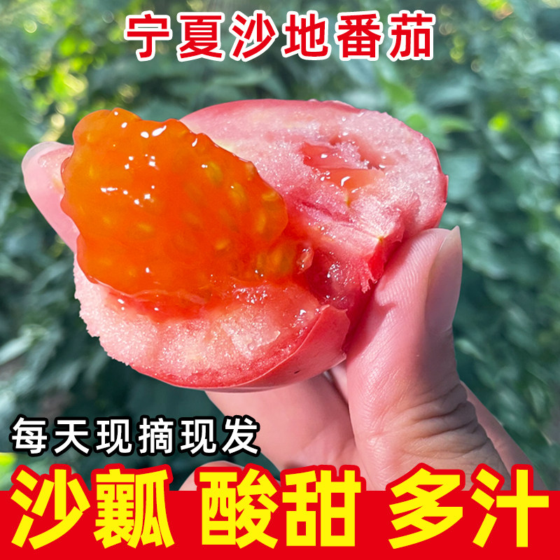 宁夏露天沙瓤西红柿新鲜自然熟老品种生吃时令水果番茄非普罗旺斯