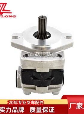 适用海迈克叉车配件液压泵10吨 TMG1A20F2H5-R348D