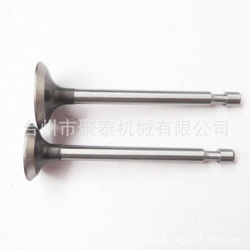 汽油发电机配件 发动机配件RGX3500进排气门 EY28气门