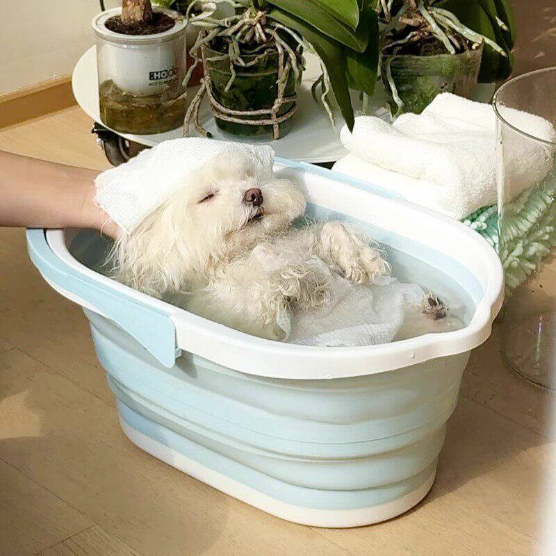 狗狗洗澡盆可折叠宠物通用中小型犬猫咪沐浴盆加厚手提多巴胺浴缸