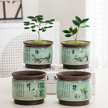 紫砂花盆圆形文竹盆景蒲兰花绿植专用带托盘简约复古桌面装饰盆景
