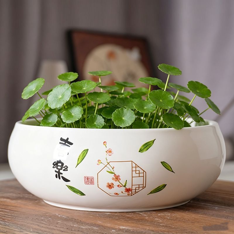 水培花盆陶瓷铜钱草一叶莲无孔莲花大号缸盆碗莲睡莲水仙花绿植盆