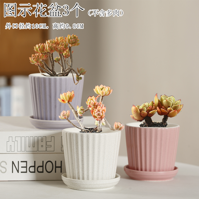 简约风特价清仓白色个性多肉花盆