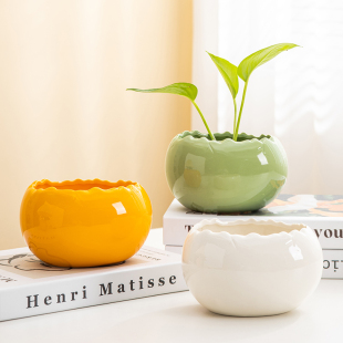 句号水培摆件花盆客厅茶几多肉陶瓷花瓶绿萝铜钱草创意桌面家居