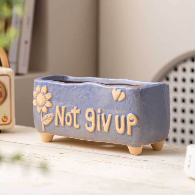 多肉花盆陶瓷个性新款透气有孔桌面可爱创意造型家用装饰肉肉小盆