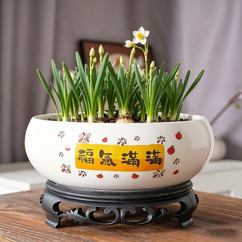 水培花盆陶瓷水仙花大号缸盆一叶莲莲花无孔碗莲铜钱草睡莲绿植盆