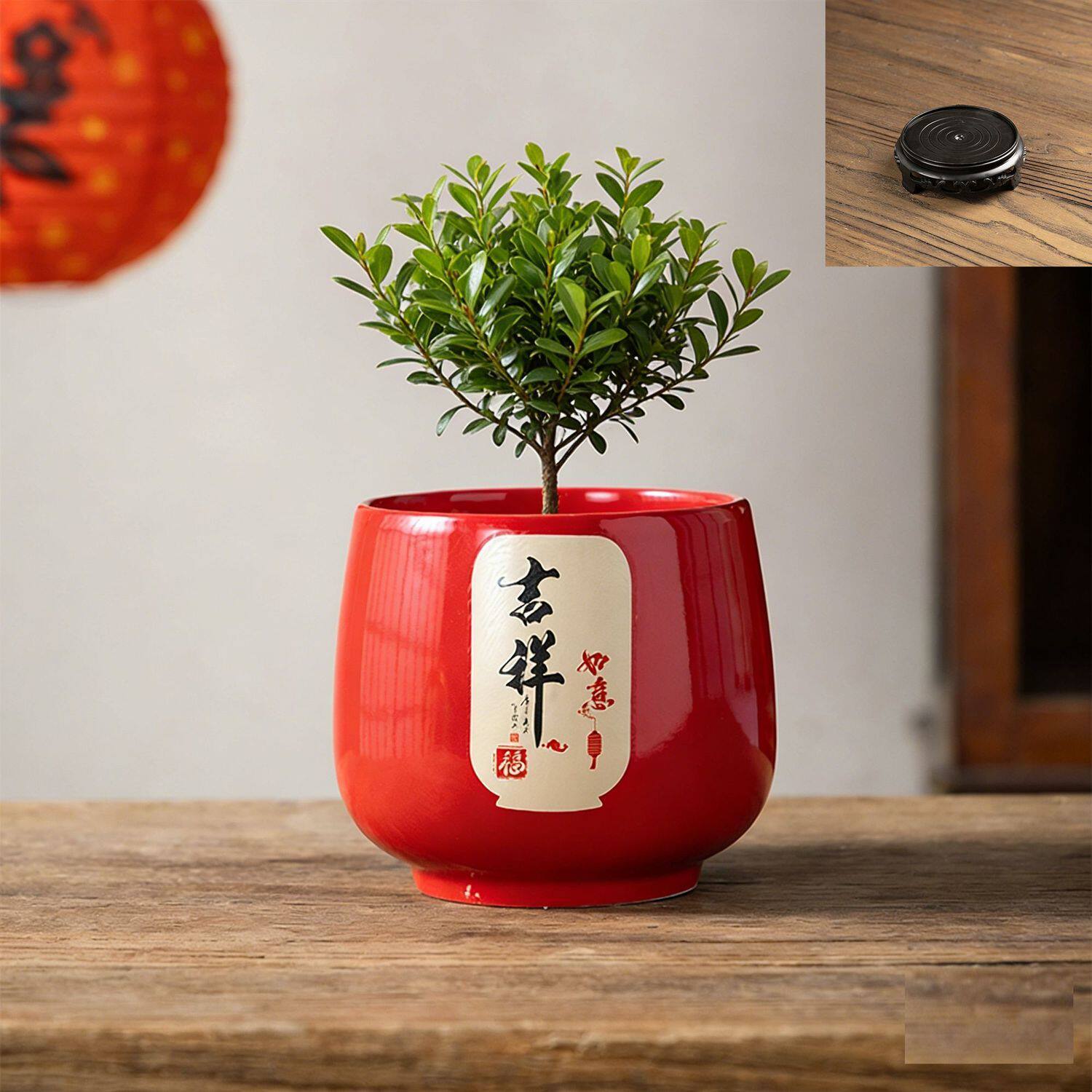 多肉花盆陶瓷中国风红色小盆个性透气简约祝福词创意桌面装饰轻奢