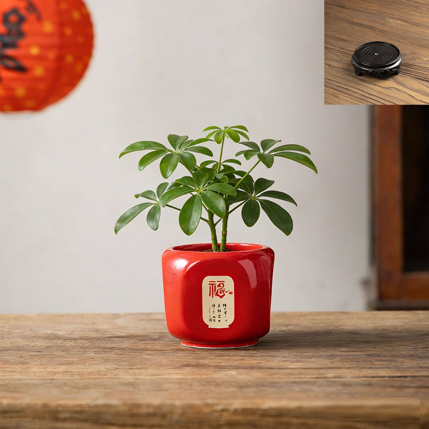 多肉花盆陶瓷红色喜庆中式办公室招财桌面装饰创意个性造型透气
