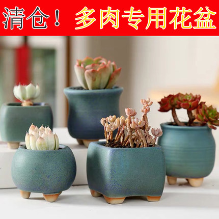多肉花盆陶瓷特价包邮清仓粗陶简约家用创意大小透气拇指盆盆栽大