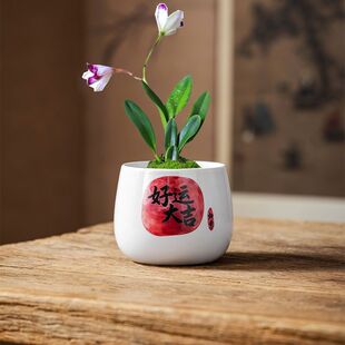 多肉花盆陶瓷简约创意个性造型有孔桌面装饰红底白盆喜气祝福透气