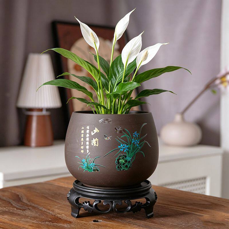紫砂无孔水培花盆陶瓷铜钱草盆景阳台摆件吊兰荷花缸碗莲专用盆缸