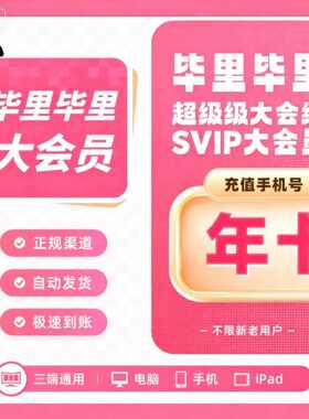 哔哩哔哩超级大会员VIP一年 B站一年电视端