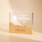 杭州发货实木水晶奖杯木质奖牌定制授权牌金属荣誉牌抗疫志愿年会