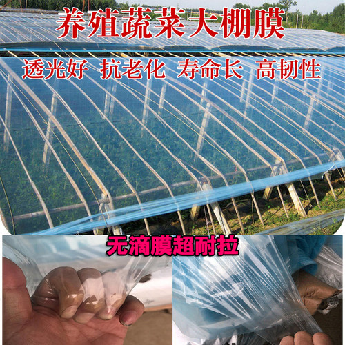 进口大棚膜蔬菜保温加厚无滴膜PO膜透明塑料薄膜抗老化养殖黑白膜