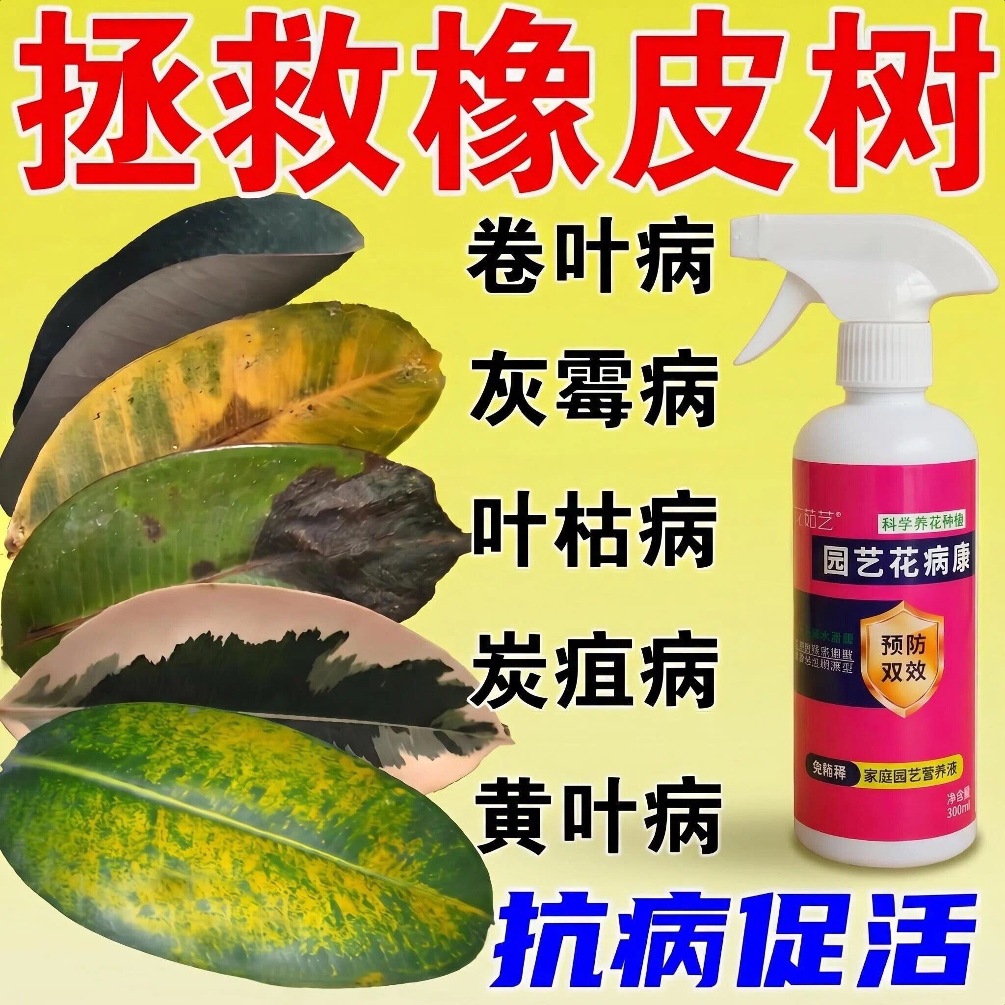 花茹艺橡皮树专用杀菌营养液肥料