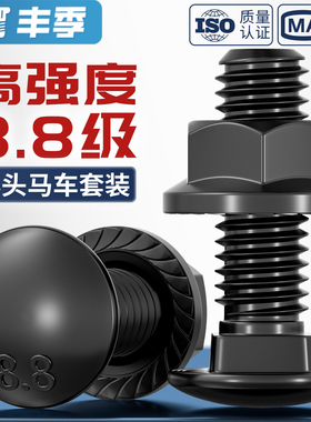 8.8黑色GB12小头马车半圆方颈 镀黑锌桥架扁头四方螺丝螺母套装