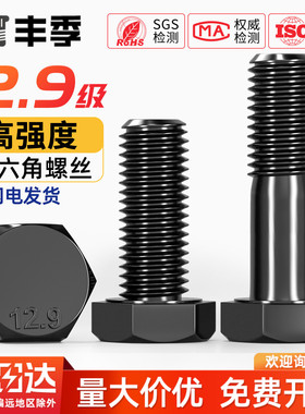 12.9级高强度外六角螺丝螺栓螺钉M5M6M8M10M12M14M16M18M20M22M24