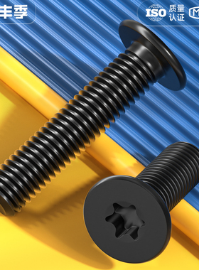 黑色304不锈钢内梅花CM扁平头螺丝钉薄头数码电子防盗MM2M3M4M5M6