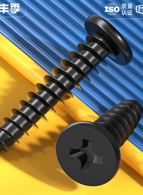 CA 黑色304不锈钢 扁平头十字自攻螺丝 大薄头子平头尖尾沉头螺钉