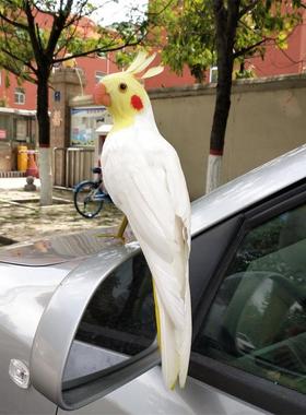 仿真羽毛鹦鹉家居摆件园林装饰品工艺品假鸟婚庆道具彩色金刚鹦鹉