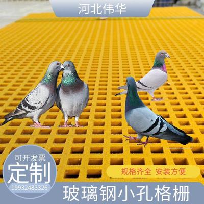 玻璃钢养殖鸽舍双层田字格地网漏粪板洗车房地格栅光伏走道网格板