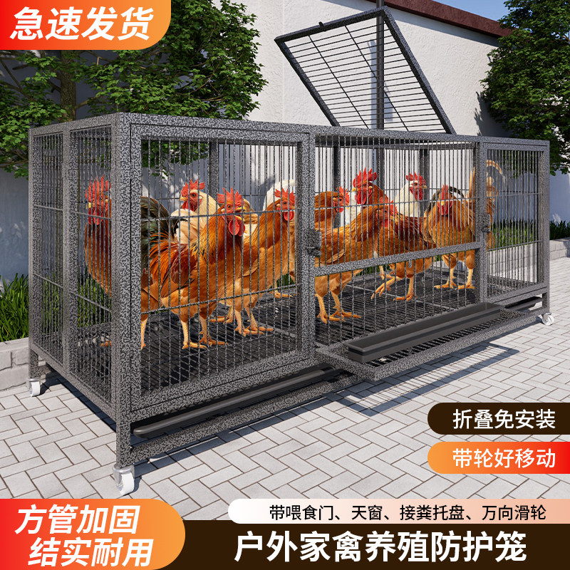 鸡笼子家用室内外大号自动清粪