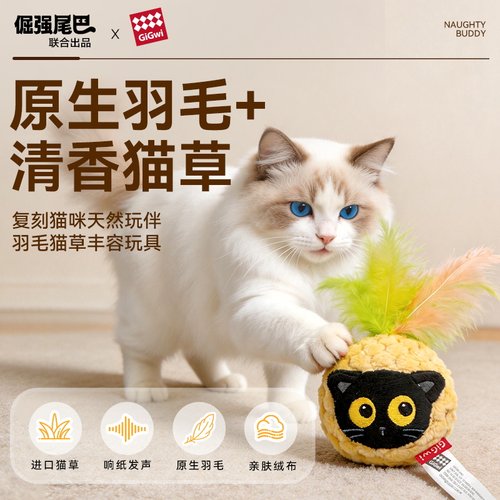 专业灭菌 进口猫草