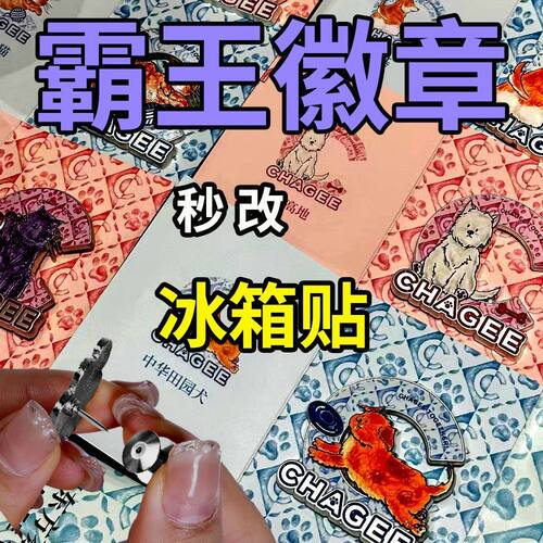 徽章转冰箱转换器变磁吸扣磁铁卡扣胸针强磁款金属平顶卡帽蝴蝶扣