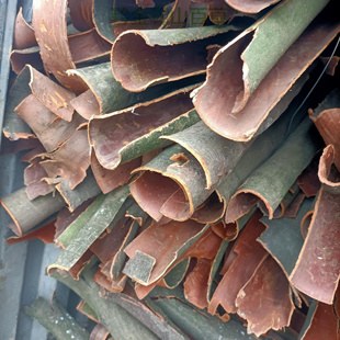 贵州中药材香桂皮细叶香桂细叶月桂上肉桂假桂皮香桂树皮干货500g