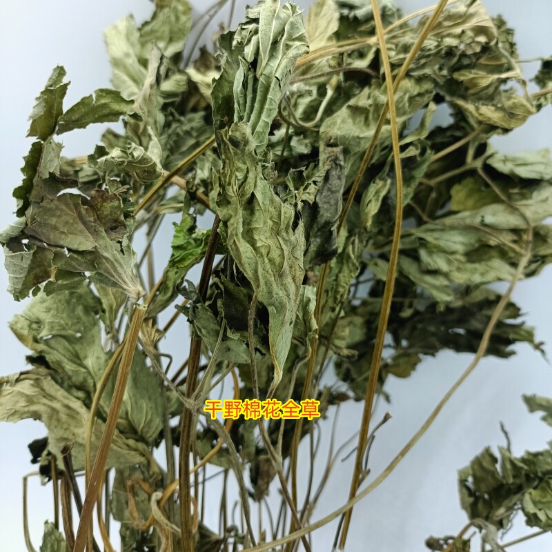 中药材500g野棉花根野棉花全草野牡丹道地药材白头翁干货正品无硫