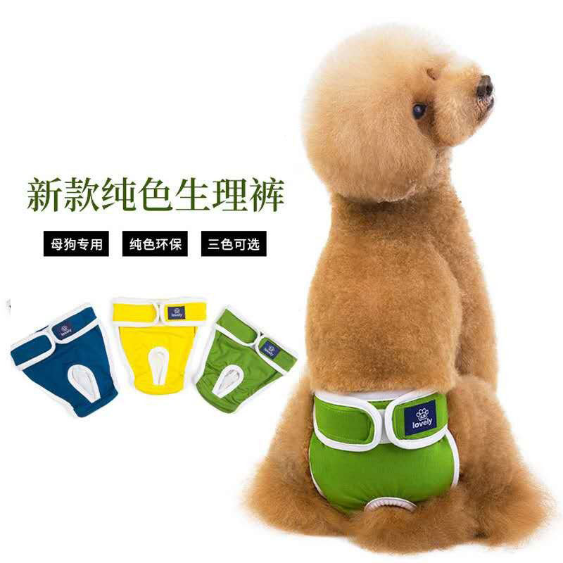 母狗生理裤月经裤安全裤泰迪比熊贵宾金毛大中小型犬宠物生理期用,宠物/宠物食品及用品,生理裤,淘宝优惠券,粉丝福利购,淘宝优惠卷