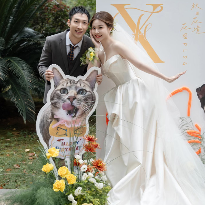 ins风网红同款宠物kt板婚礼猫咪狗狗生日迎宾牌定制kt板定制拍照,节庆用品/礼品,装扮布置套餐,淘宝优惠券,粉丝福利购,淘宝优惠卷