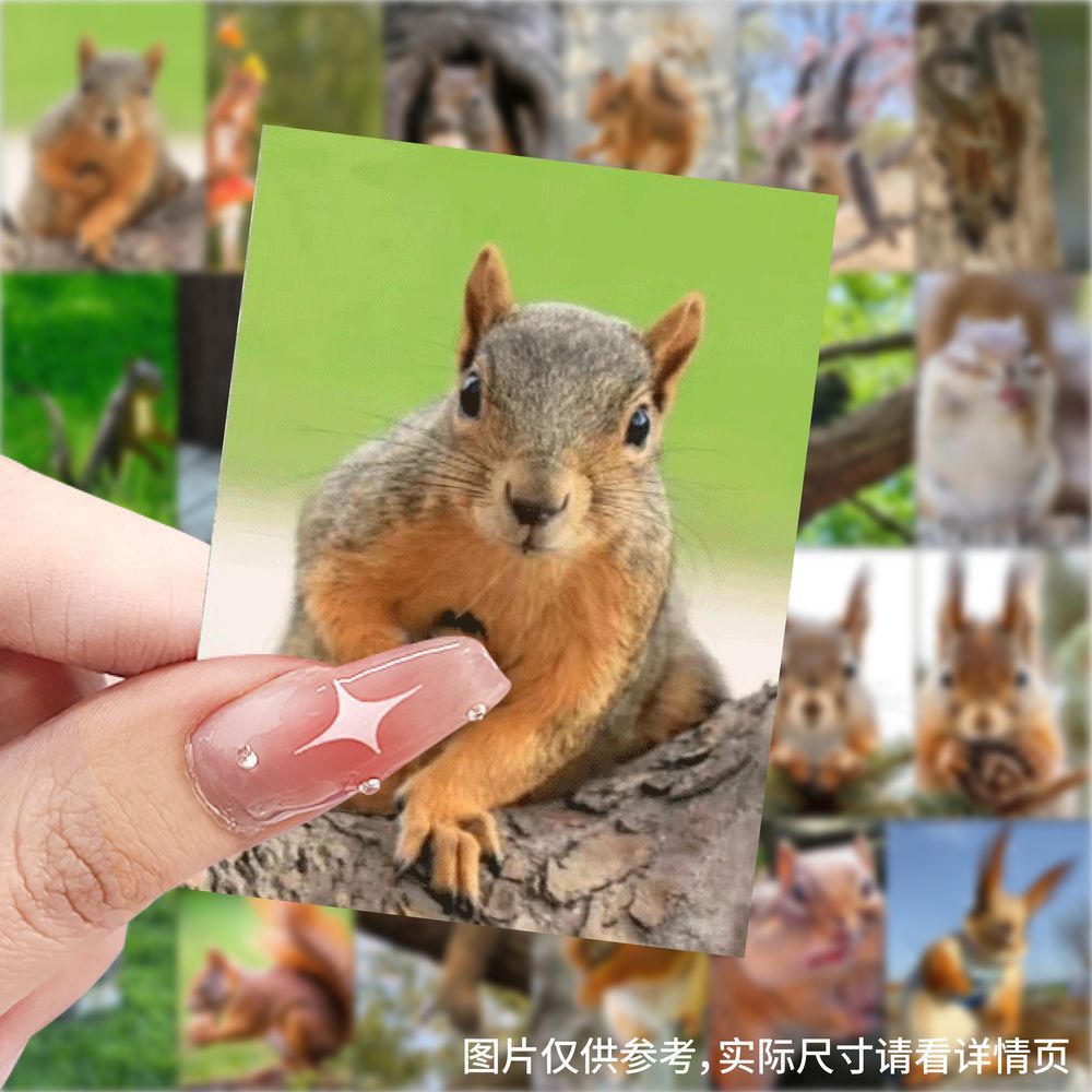 爆款松鼠图片贴纸可爱动物贴画装饰手机水杯行李箱防水diy贴画