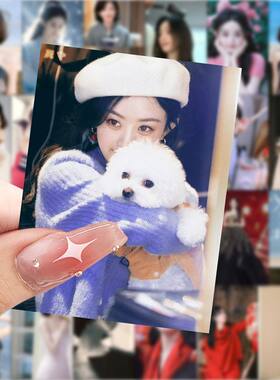 63张赵丽颖贴纸高颜值明星周边写真装饰手机壳笔记本电脑防水贴画
