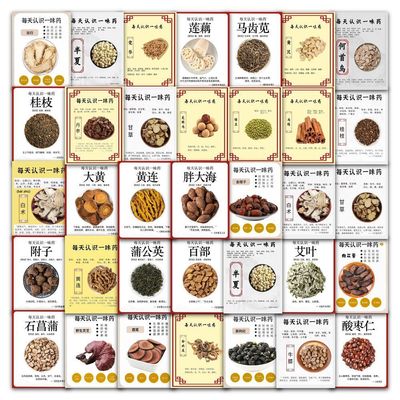 189中草药每天认识一味贴纸科普创意学习贴画装饰知识手账diy防水