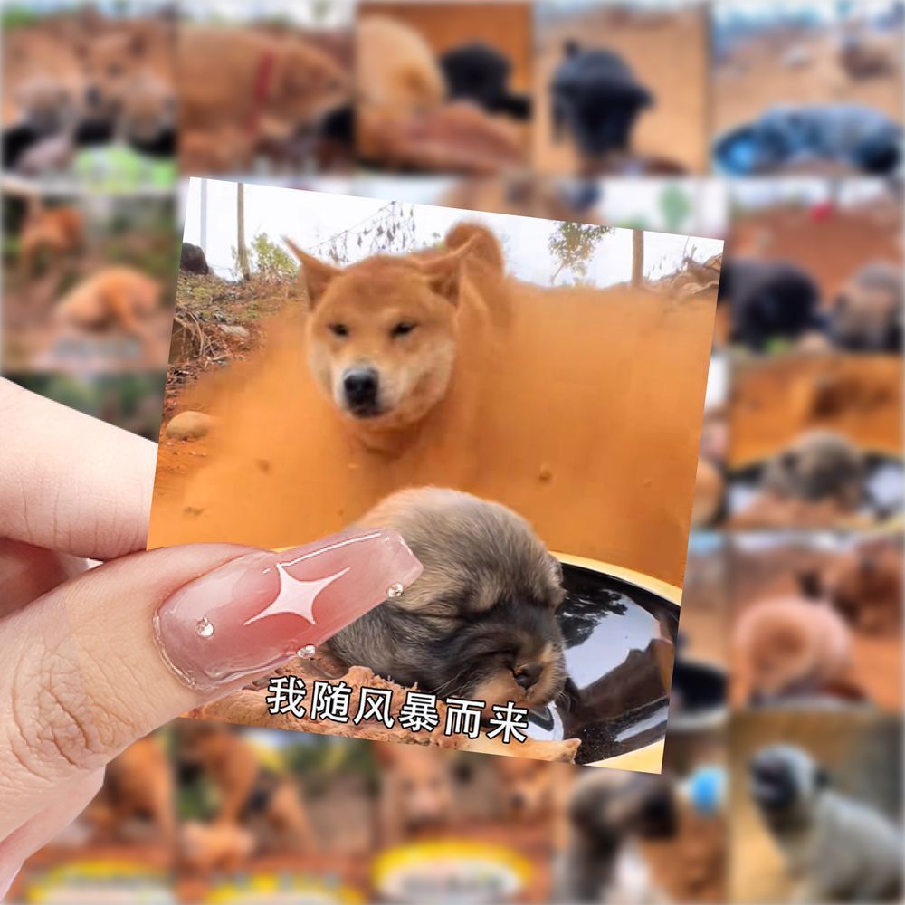 新款黄沙大圣表情包贴纸搞笑小狗抽象梗图diy手机桌子笔记本装饰