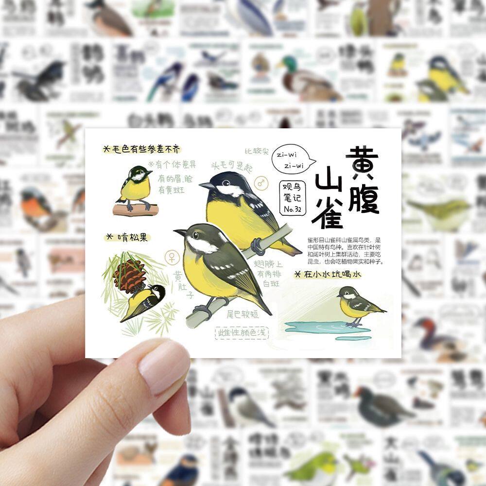 108张鸟类图鉴贴纸鸟类品种习性学习科普知识装饰手机水杯贴画diy,文具电教/文化用品/商务用品,贴纸/立体贴纸,淘宝优惠券,粉丝福利购,淘宝优惠卷