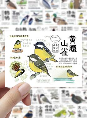 108张鸟类图鉴贴纸鸟类品种习性学习科普知识装饰手机水杯贴画diy