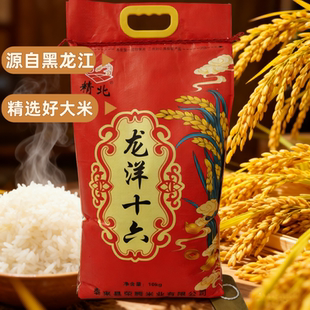 2025新米黑龙江龙洋十六稻香长粒香大米稻香软糯香甜东北大米