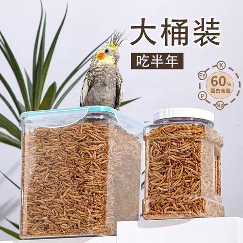 罐装面包虫干卢丁鸡鸟食乌龟金丝熊刺猬零食八哥黄粉虫仓鼠用品