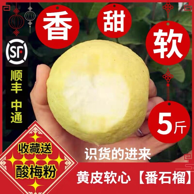 福建漳州土芭乐5斤水果软心芭乐糯番石榴 白心香软农家新鲜10水果